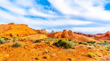 Nevada, ABD'deki Valley of Fire State Park'taki White Dome Trail boyunca renkli kırmızı, sarı ve beyaz kumtaşı kaya oluşumları