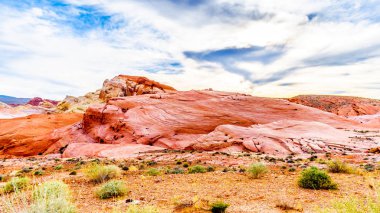 Nevada, ABD'deki Valley of Fire State Park'taki White Dome Trail boyunca renkli kırmızı, sarı ve beyaz kumtaşı kaya oluşumları