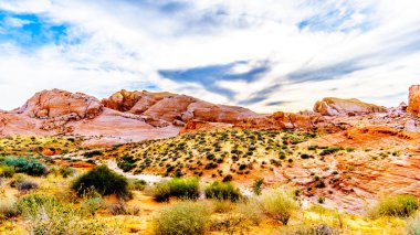 Nevada, ABD'deki Valley of Fire State Park'taki White Dome Trail boyunca renkli kırmızı, sarı ve beyaz kumtaşı kaya oluşumları