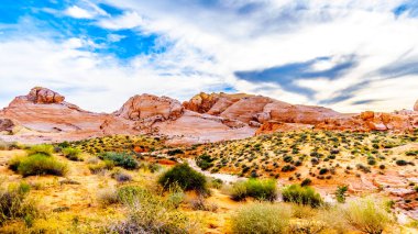 Nevada, ABD'deki Valley of Fire State Park'taki White Dome Trail boyunca renkli kırmızı, sarı ve beyaz kumtaşı kaya oluşumları