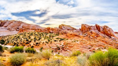 Nevada, ABD'deki Valley of Fire State Park'taki White Dome Trail boyunca renkli kırmızı, sarı ve beyaz kumtaşı kaya oluşumları