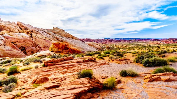 Nevada, ABD'deki Valley of Fire State Park'taki White Dome Trail boyunca renkli kırmızı, sarı ve beyaz kumtaşı kaya oluşumları