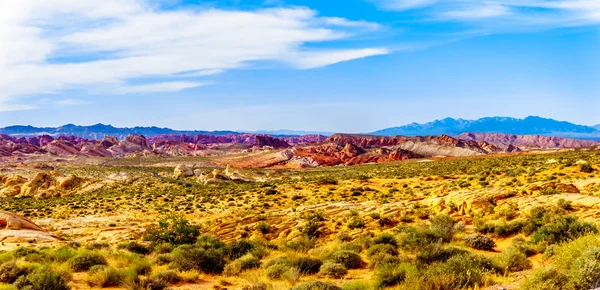 Nevada, ABD'deki Valley of Fire State Park'taki White Dome Trail boyunca renkli kırmızı, sarı ve beyaz kumtaşı kaya oluşumları