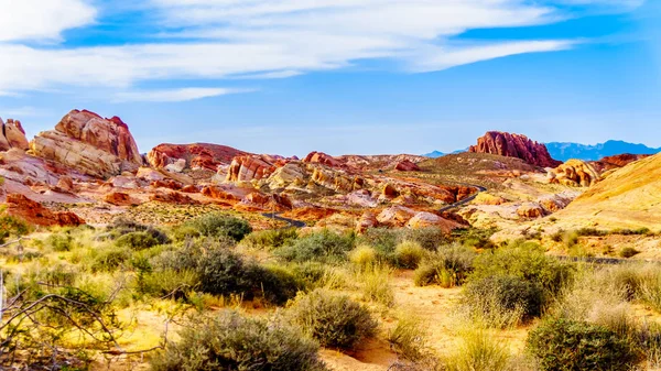 White Dome Road Winds Colorful Red Yellow White Sandstone Rock — Stock Photo, Image