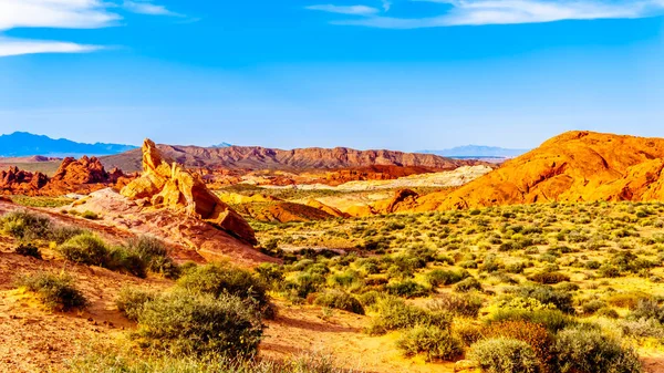 Nevada, ABD'deki Ateş Vadisi Devlet Parkı'ndaki Ateş Dalgası Patikası'nda parlak kırmızı Aztek kumtaşı kaya oluşumu