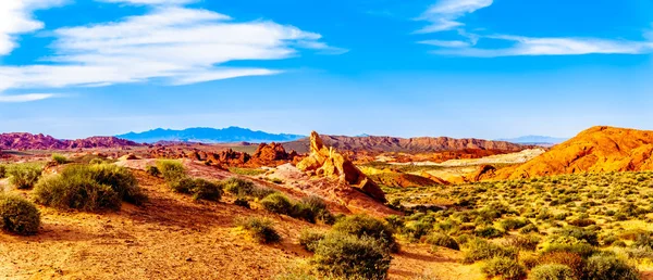 Nevada, ABD'deki Ateş Vadisi Devlet Parkı'ndaki Ateş Dalgası Patikası'nda parlak kırmızı Aztek kumtaşı kaya oluşumu