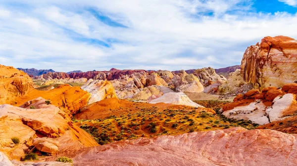 Nevada, ABD'deki Valley of Fire State Park'taki White Dome Trail boyunca renkli kırmızı, sarı ve beyaz kumtaşı kaya oluşumları