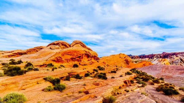 Nevada, ABD'deki Valley of Fire State Park'taki White Dome Trail boyunca renkli kırmızı, sarı ve beyaz kumtaşı kaya oluşumları