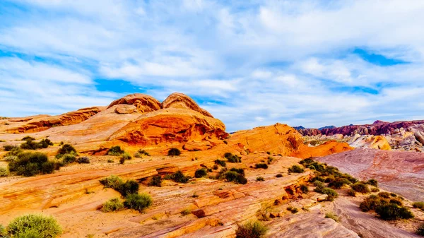 Colorful Red Yellow White Sandstone Rock Formations White Dome Trail — Stock Photo, Image