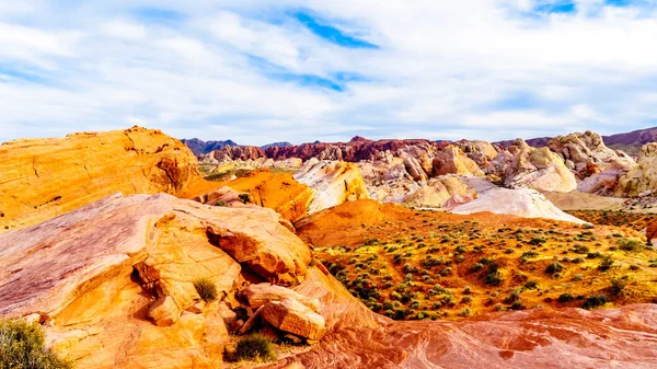 Nevada, ABD'deki Valley of Fire State Park'taki White Dome Trail boyunca renkli kırmızı, sarı ve beyaz kumtaşı kaya oluşumları