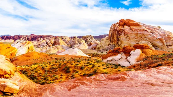 Nevada, ABD'deki Valley of Fire State Park'taki White Dome Trail boyunca renkli kırmızı, sarı ve beyaz kumtaşı kaya oluşumları