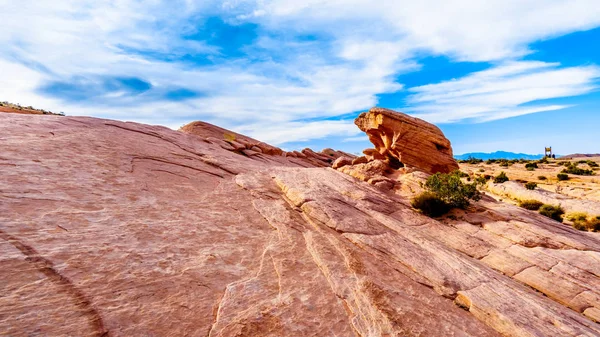 Bright Red Aztec Sandstone Rock Formation Fire Wave Trail Valley — Stock Photo, Image