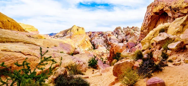 Nevada, ABD'deki Valley of Fire State Park'taki White Dome Trail boyunca renkli kırmızı, sarı ve beyaz kumtaşı kaya oluşumları