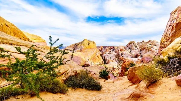 Nevada, ABD'deki Valley of Fire State Park'taki White Dome Trail boyunca renkli kırmızı, sarı ve beyaz kumtaşı kaya oluşumları