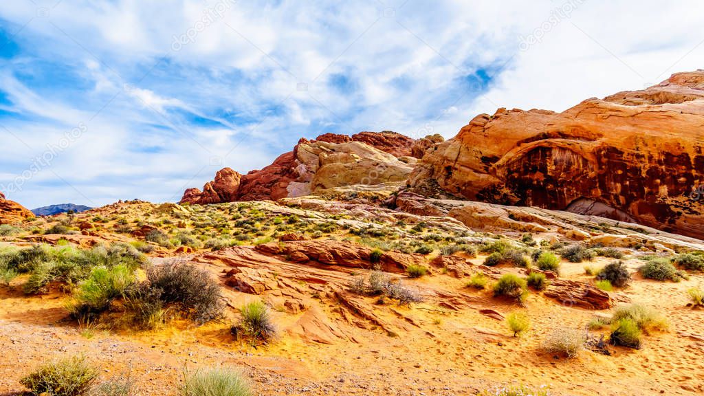 The colorful red, yellow and white sandstone rock formations along the White Dome Trail in the Valley of Fire State Park in Nevada, USA