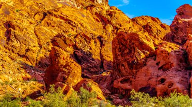 Nevada, ABD'deki Ateş Eyalet Parkı Vadisi'nde Fare'nin Tank Yolu'nda Gün Doğumunda Kırmızı Aztek Kumtaşı Dağları