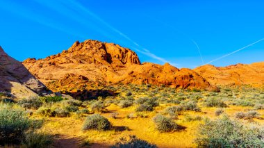 Nevada, Abd Fire State Park Vadisi'nde Rainbow Vista Trail Sunrise Renkli Sandstone Dağları