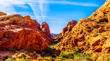 Nevada, Abd Fire State Park Vadisi'nde Rainbow Vista Trail Sunrise Renkli Sandstone Dağları
