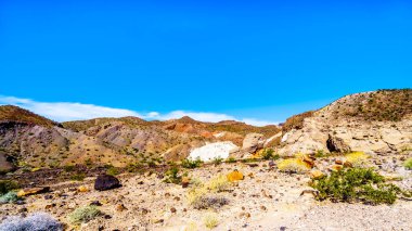 Lake Mead Ulusal Rekreasyon Alanı Northshore Road Sr167 boyunca Sağlam ve Renkli Dağlar Nevada Boulder City ve Overton arasında yarı çöl manzara ile çalışır, ABD