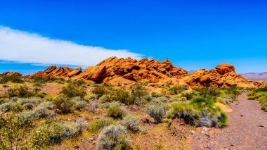 Lake Mead Ulusal Rekreasyon Alanı Northshore Road Sr167 boyunca Sağlam ve Renkli Dağlar Nevada Boulder City ve Overton arasında yarı çöl manzara ile çalışır, ABD