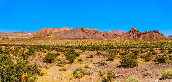 Chropowaty Kolorowe Góry Wzdłuż Northshore Road Sr167 Lake Mead Narodowy — Zdjęcie stockowe