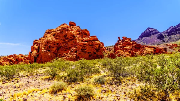 Lake Mead Ulusal Rekreasyon Alanı Northshore Road Sr167 boyunca Rugged Red Rocks Nevada Boulder City ve Overton arasında yarı çöl manzara ile çalışır, ABD
