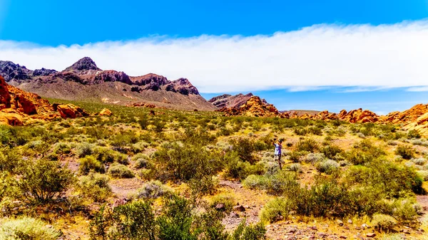 Montañas Resistentes Largo Northshore Road Sr167 Lake Mead National Recreation — Foto de Stock