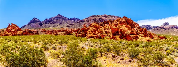 Lake Mead Ulusal Rekreasyon Alanı Northshore Road Sr167 boyunca Sağlam ve Renkli Dağlar Nevada Boulder City ve Overton arasında yarı çöl manzara ile çalışır, ABD