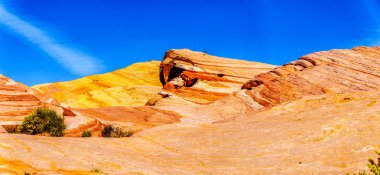Nevada, ABD'deki Valley of Fire State Park'taki Fire Wave Trail boyunca renkli kırmızı, sarı ve beyaz bantlı kaya oluşumları