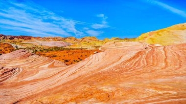 Nevada, ABD'deki Valley of Fire State Park'taki Fire Wave Trail boyunca renkli kırmızı, sarı ve beyaz bantlı kaya oluşumları
