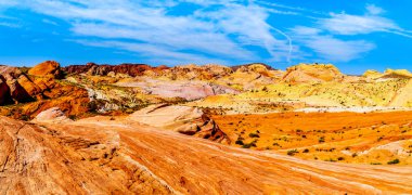 Nevada, ABD'deki Valley of Fire State Park'taki Fire Wave Trail boyunca renkli kırmızı, sarı ve beyaz bantlı kaya oluşumları