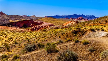 Nevada, Abd'deki Valley of Fire State Park'ın Taşlaşmış Kütükler Trail'den görünümü