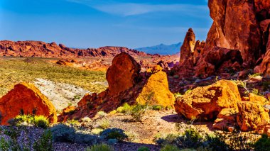 Nevada, ABD'deki Valley of Fire State Park'ta Ateş Dalgası Yolu boyunca renkli kırmızı kumtaşı kaya oluşumları