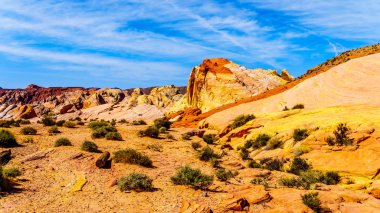 Nevada, ABD'deki Valley of Fire State Park'taki Fire Wave Trail boyunca renkli kırmızı, sarı ve beyaz bantlı kaya oluşumları