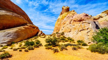 Nevada, ABD'deki Valley of Fire State Park'taki White Dome Trail'de renkli kırmızı, sarı ve beyaz kumtaşı kaya oluşumları