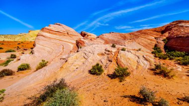 Nevada, ABD'deki Valley of Fire State Park'taki Fire Wave Trail boyunca renkli kırmızı, sarı ve beyaz bantlı kaya oluşumları