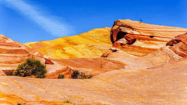 The colorful red, yellow and white banded rock formations along the Fire Wave Trail in the Valley of Fire State Park in Nevada, USA