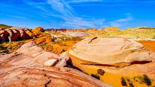 Nevada, ABD'deki Valley of Fire State Park'taki Fire Wave Trail boyunca renkli kırmızı, sarı ve beyaz bantlı kaya oluşumları