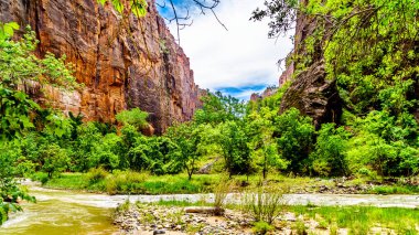 Virgin Nehri 'nin kuzey çatalı Gizemli Kanyon ve Narrows' dan geçerken Zion Ulusal Parkı, Utah, Birleşik Sates 'teki Kum Taşı Dağları' ndan geçti.
