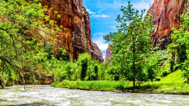 Virgin Nehri 'nin kuzey çatalı Gizemli Kanyon ve Narrows' dan geçerken Zion Ulusal Parkı, Utah, Birleşik Sates 'teki Kum Taşı Dağları' ndan geçti.