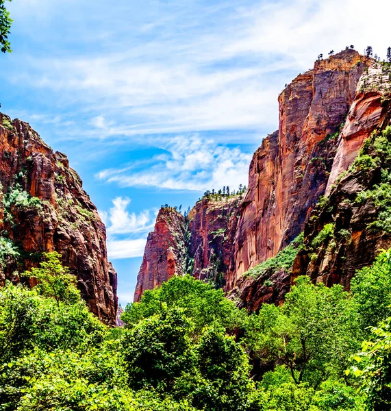 Montanhas Arenito Torno Garfo Norte Rio Virgin Mystery Canyon Setas — Fotografia de Stock