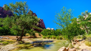 Virgin Nehri, Utah, Birleşik Sates 'teki Zion Ulusal Parkı' ndaki Patrikler Sarayı 'ndaki üç zirveden biri olan Jacob Peak' in solundaki Zion Kanyonu 'ndan akar.