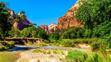 Amerika Birleşik Devletleri 'nin Utah kentindeki Zion Ulusal Parkı' nda Patrik Mahkemesi yakınlarındaki Sand Beach Patikası 'nda Virgin Nehri ile birlikte Zion Kanyonu.