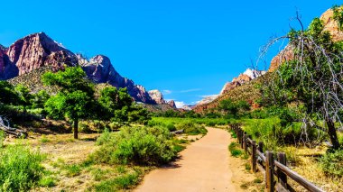 Utah, Usa 'daki Zion Ulusal Parkı' ndaki Virgin Nehri 'ni takip eden Pa' rus Yolu 'nun her iki tarafındaki dağlar.