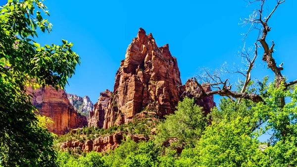 Jacob Peak Dos Três Picos Tribunal Dos Patriarcas Parque Nacional — Fotografia de Stock