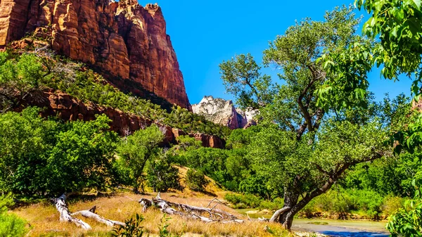 Amerika Birleşik Devletleri Nin Utah Kentindeki Zion Ulusal Parkı Nda — Stok fotoğraf