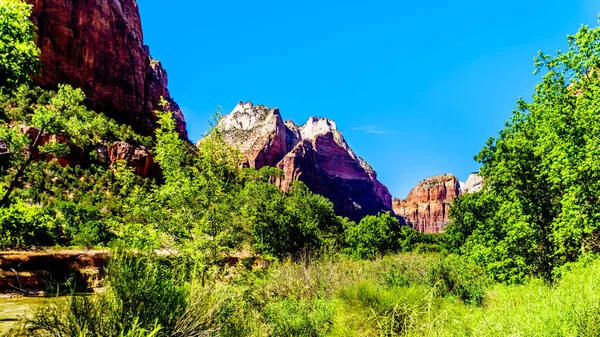 Zion Canyon Peaks Majestic Great White Throne Viewed Sand Beach — Stock Photo, Image