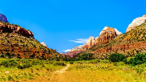 Zion Canyon Mit Rechts Zwillingsbrüdern Berg Und Sonnenberg Zion Nationalpark — Stockfoto