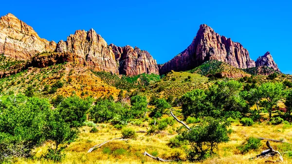 Köprü Dağı Nın Gözcüsü Kayalıkları Utah Taki Zion Ulusal Parkı — Stok fotoğraf