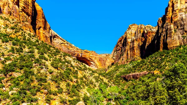 Great Arch East Temple Mountain Canyon Overlook Bridge Mountain Sedd — Stockfoto